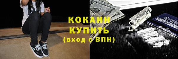 ГАЛЛЮЦИНОГЕННЫЕ ГРИБЫ Беломорск