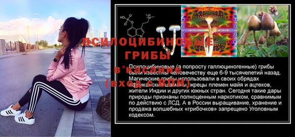 ГАЛЛЮЦИНОГЕННЫЕ ГРИБЫ Беломорск