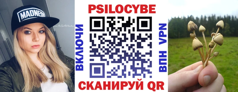 Псилоцибиновые грибы GOLDEN TEACHER  Болотное 